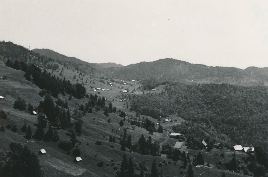 eika image
